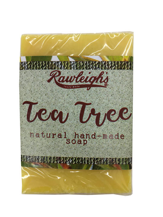 Tea Tree Oil Soap - 100g image 0
